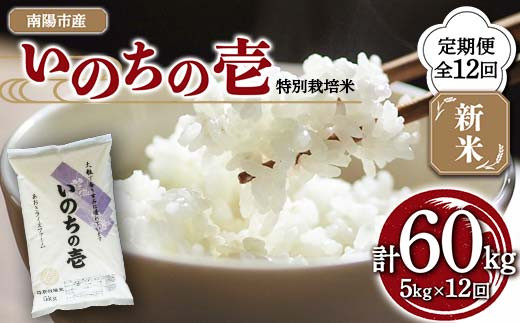 【金賞受賞農家】 《定期便12回》 令和7年産 特別栽培米 いのちの壱 5kg×12か月 『あおきライスファーム』 山形南陽産 米 白米 精米 ご飯 農家直送 山形県 南陽市 [1618]