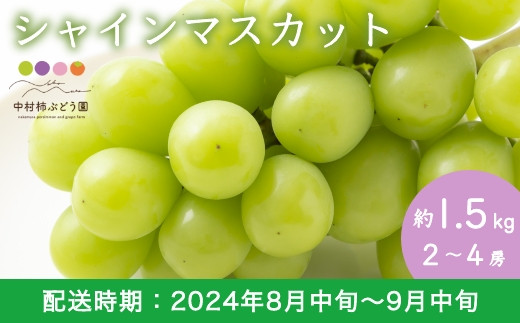 P153【先行予約】中村柿ぶどう園 シャインマスカット 2〜4房 (約1.5kg)