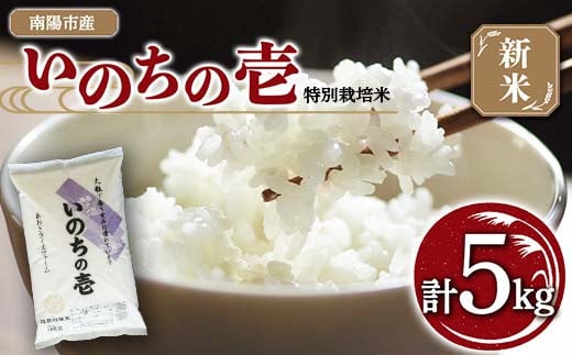 山形の極み】 令和5年産 山形県産 有機栽培米 つや姫 3kg 《2023年11月