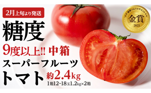 【2024年2月上旬発送開始】 スーパーフルーツトマト 中箱 約1.2kg × 2箱 （12～18玉/1箱）糖度9度以上 トマト とまと 野菜[BC014sa] 591347 - 茨城県桜川市