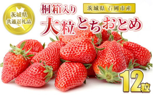 桐箱入り 大粒とちおとめ 12粒【茨城県共通返礼品 石岡市】※2025年12月上旬～中旬頃に順次発送予定 992161 - 茨城県守谷市