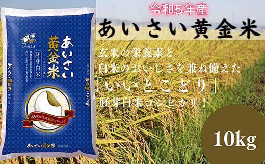 あいさい黄金米  白米 10kg コシヒカリ 徳島県 国産  胚芽白米 令和5年産