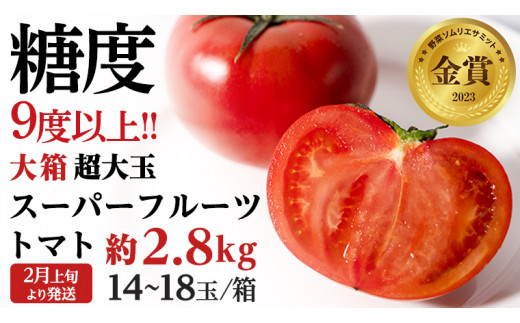 【2024年2月上旬発送開始】【数量限定】 超大玉 スーパーフルーツトマト 大箱 約2.8kg × 1箱 （14～18玉/1箱） 糖度9度以上 トマト とまと 野菜 [BC011sa] 591345 - 茨城県桜川市