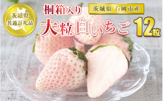 桐箱入り 大粒白いちご 12粒【茨城県共通返礼品 石岡市】※2025年12月上旬～中旬頃に順次発送予定 992153 - 茨城県守谷市