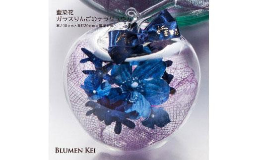 藍染花ガラスりんごのテラリュウム 993459 - 徳島県徳島市