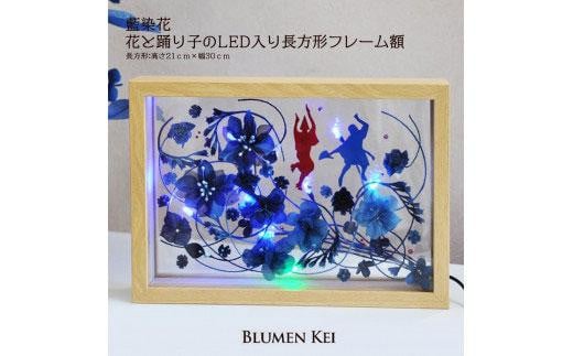藍染花　花と踊り子のLED入り長方形フレーム額 993460 - 徳島県徳島市