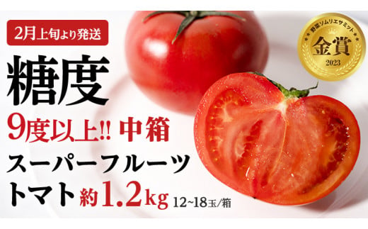 [2024年2月上旬発送開始]スーパーフルーツトマト 中箱 約1.2kg × 1箱 (12〜18玉/1箱) 糖度9度以上 フルーツトマト トマト とまと 野菜 [BC002sa]