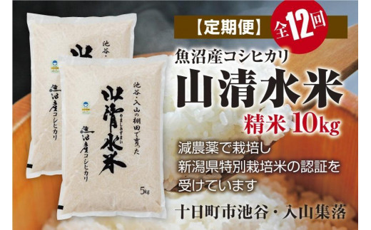 ふるさと納税 新米先行受付【定期便／全12回】精米10kg 魚沼産