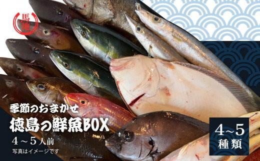 その日のセリの一番魚お届けBOX　4人前（下処理済み） 993036 - 徳島県徳島市