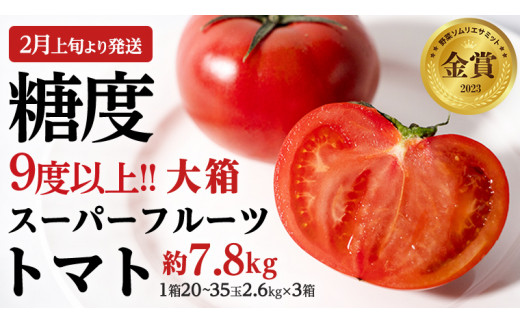 【2024年2月上旬発送開始】 スーパーフルーツトマト 大箱 約2.6kg × 3箱 （20～35玉/1箱）糖度9度以上 トマト とまと 野菜 [BC010sa] 591281 - 茨城県桜川市