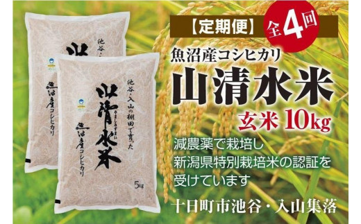 ふるさと納税 新潟県 十日町市 新米先行受付【定期便／全4回】精米10kg