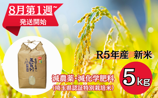 令和5年コシヒカリ24キロ無農薬 有機栽培こだわりのお米 送料無料 - 米