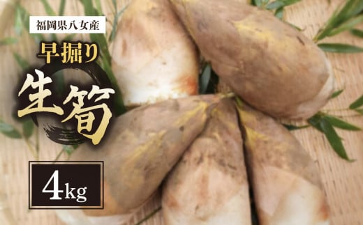 早掘り筍４kg 8，700円-