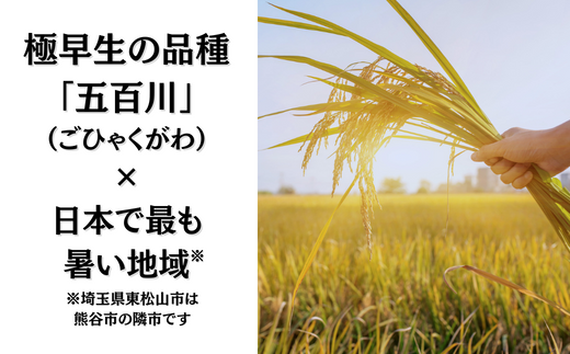 極早生品種「五百川」×日本で最も暑い地域