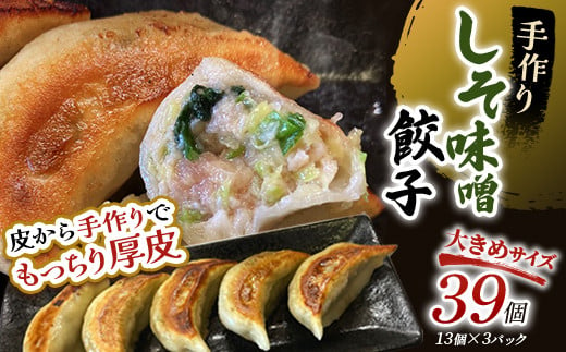 餃子」のふるさと納税 お礼の品一覧【ふるさとチョイス】 10ページ目