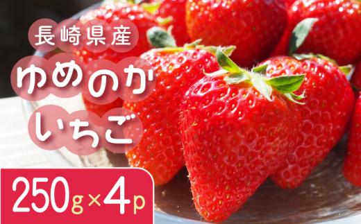 長崎産 ゆめのか いちご 250g×4パック 長崎市/JA長崎せいひ ことのうみいちご部会 [LDV002]