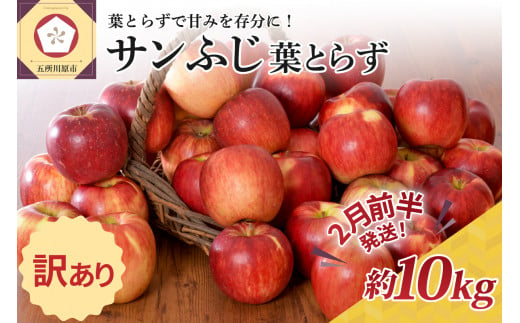 【2025年2月前半発送】【訳あり】 りんご 約10kg サンふじ 葉とらず 青森産 1064409 - 青森県五所川原市