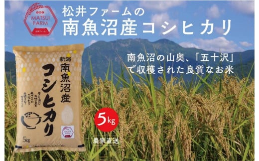 【令和6年産新米予約】【無洗米】南魚沼産コシヒカリ（5kg)