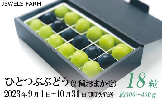 No.5657-3349]朝採り新鮮 産地直送 ひとつぶぶどう 約300g～400g（18粒