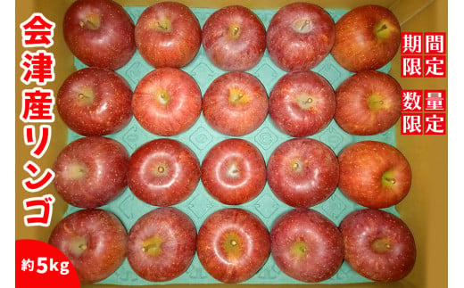 サンふじ 5kg (季節の果物)｜2024年 りんご リンゴ フルーツ 果物 産直 会津産 数量限定 [0402]