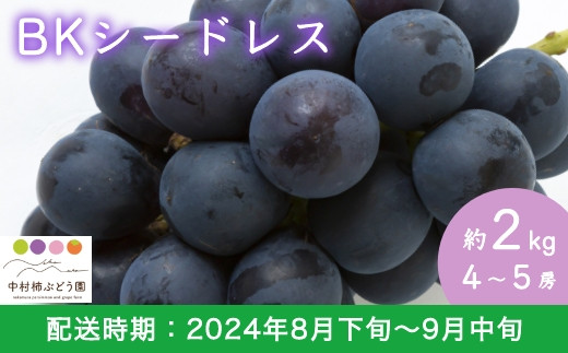 P140-06 【先行予約】中村柿ぶどう園 6月に食べられるぶどうピオーネ 3