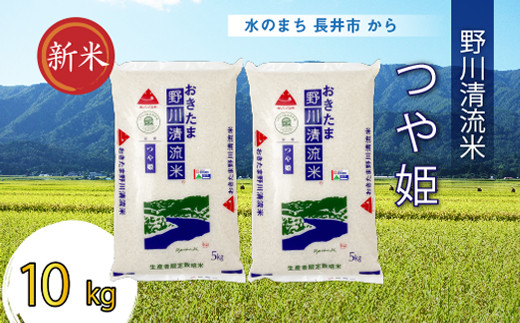 【令和5年産新米】【特別栽培米】野川清流米