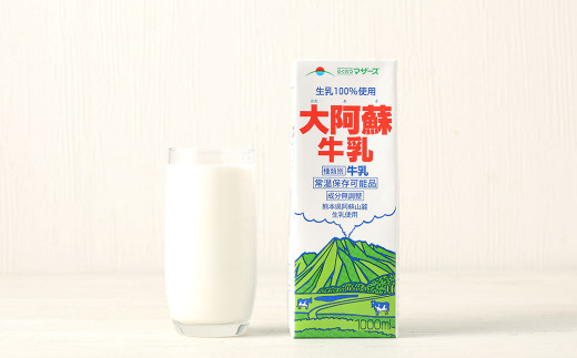 【6ヶ月定期便】大阿蘇 牛乳 1L×6本×6回 合計36L 紙パック ミルク 成分無調整 