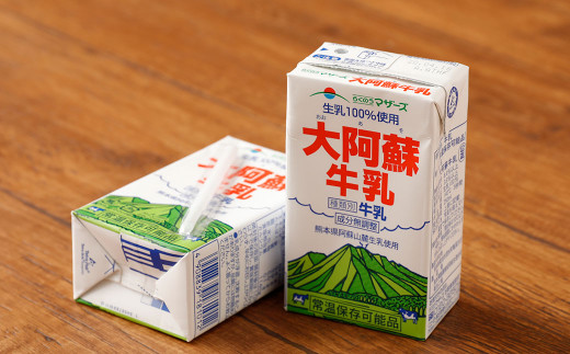【6ヶ月定期便】大阿蘇 牛乳 250ml×24本×6回 合計36L 紙パック ミルク 成分無調整 