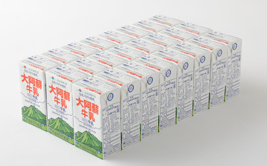 【6ヶ月定期便】大阿蘇 牛乳 250ml×24本×6回 合計36L 紙パック ミルク 成分無調整 