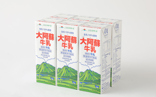 【12ヶ月定期便】大阿蘇 牛乳 1L×6本×12回 合計72L 1000ml 紙パック ミルク 成分無調整 