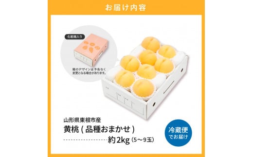 黄桃 (品種おまかせ) 2kg (5～9玉) 東根農産センター提供 hi027-089