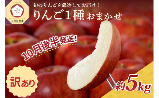 【2024年10月後半発送】 【訳あり】 りんご 青森産 約5kg 品種おまかせ1種 1064677 - 青森県五所川原市