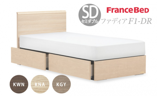 フランスベッド ファディア FAD-F1 DR（引き出し付き260mm） 【 フレームのみ 】 M セミダブル Q-397