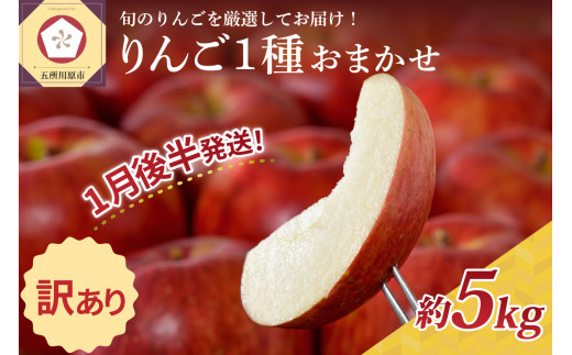 【2025年1月後半発送】 【訳あり】 りんご 青森産 約5kg 品種おまかせ1種 1064400 - 青森県五所川原市