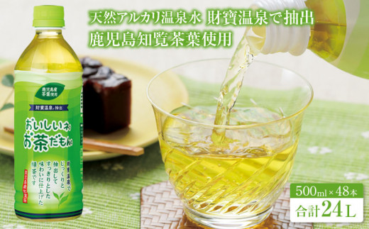 1760-1 財宝のおいしい お茶 500ml × 48本 すっきりした 味わいの 緑茶 ペットボトル 1021967 - 鹿児島県鹿屋市