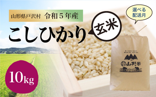 令和5年産 コシヒカリ 【玄米】 5kg（5kg×1袋） ＜配送時期指定可