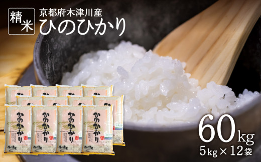 定期便12か月】木津川市お米60kg（5kg×12回） - 京都府木津川市