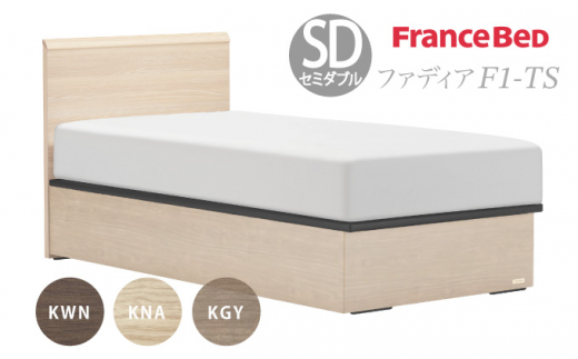 フランスベッド ファディア FAD-F1 TS（縦跳ね上げ収納260mm） 【 マットレスセット 】 M セミダブル U-95