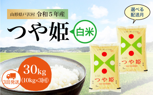 令和5年産 特別栽培米 つや姫 【白米】 定期便 30㎏（10kg×1カ月間隔で