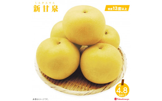 [JA全農とっとり]鳥取県産 新甘泉梨 糖度13度以上 4.8kg以上12〜16玉[高島屋選定品]