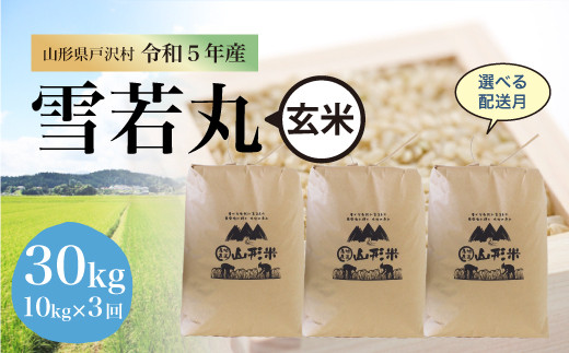 令和5年産 雪若丸 【玄米】 定期便 30kg（10kg×1カ月ごと3回お届け）＜配送時期指定可＞ 山形県 戸沢村