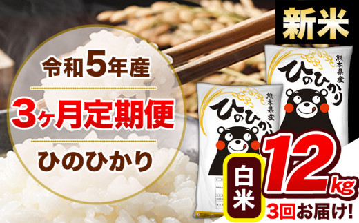 新米 令和5年産 ひのひかり 【3ヶ月定期便】 白米 《11月頃から出荷開始》 12kg (6kg×2袋) 計3回お届け 熊本県産 単一原料米 ひの  熊本県 玉東町|