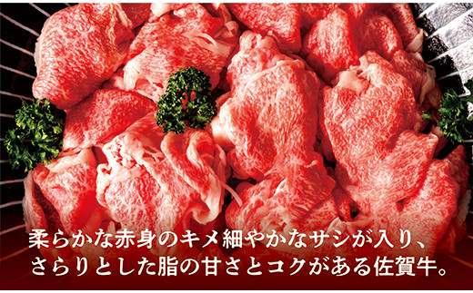 佐賀牛 切り落とし 和牛 牛肉 1kg ( 500g×2P ) | 佐賀牛 切り落とし 和牛 牛肉 1kg ※画像はイメージです
