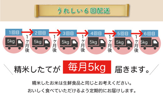 令和5年産 特別栽培米 つや姫 【白米】 定期便 30㎏（5kg×1カ月間隔で6回お届け） ＜配送時期指定可＞ 山形県  戸沢村|株式会社ちいきパブリックリレーションズ