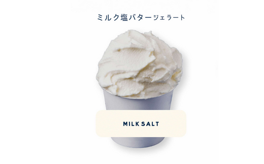 王道の「塩ミルク」６個セットです