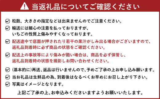 【予約受付・3回定期便】あまおう 贅沢セット