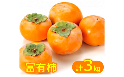富有柿（ふゆうがき）3kg 【11月上旬から11月下旬お届け】 423417 - 鳥取県米子市