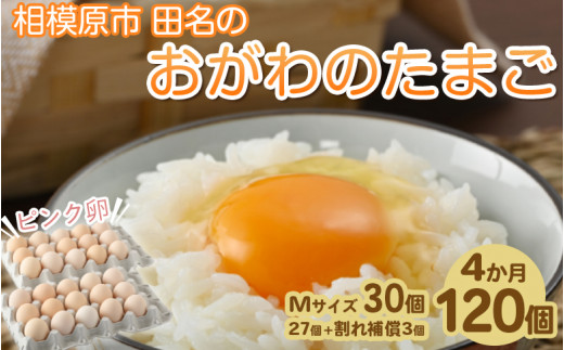 11ヶ月定期便】相模原市田名のおがわのたまご ピンク卵 Mサイズ 30個