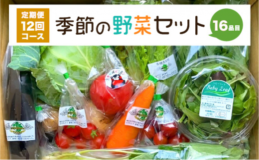 定期便12か月】旬な野菜おまかせ詰め合わせセット 定期便12か月コース