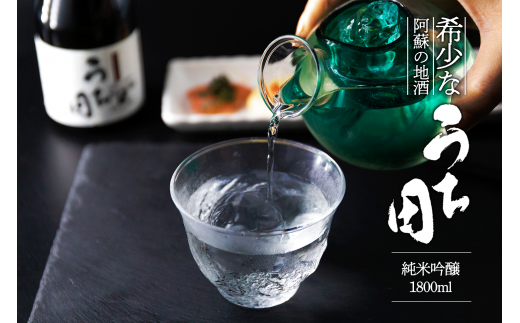 日本酒 うち田 純米吟醸 熊本限定販売 1800ml 998167 - 熊本県阿蘇市